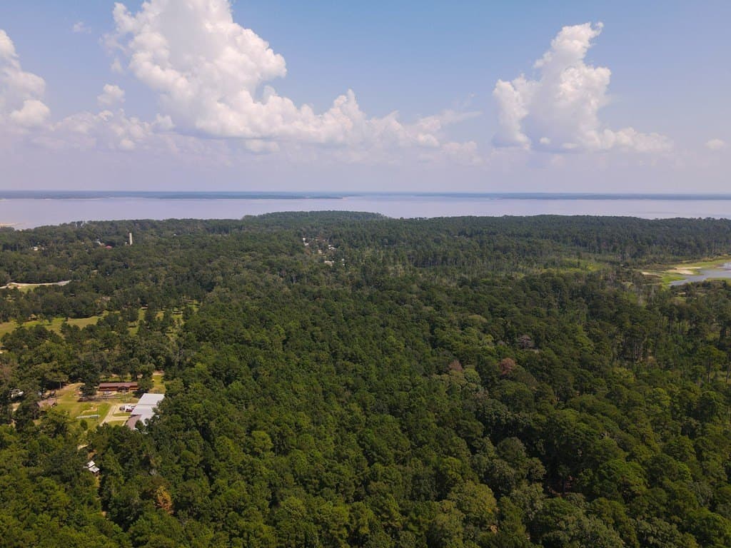 38.17 acres in Texas County gallery image 3