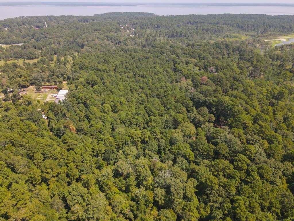 38.17 acres in Texas County featured view