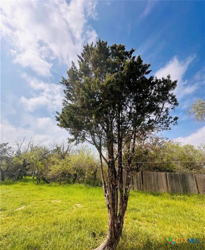 0.24 acres in Comal County gallery image 4