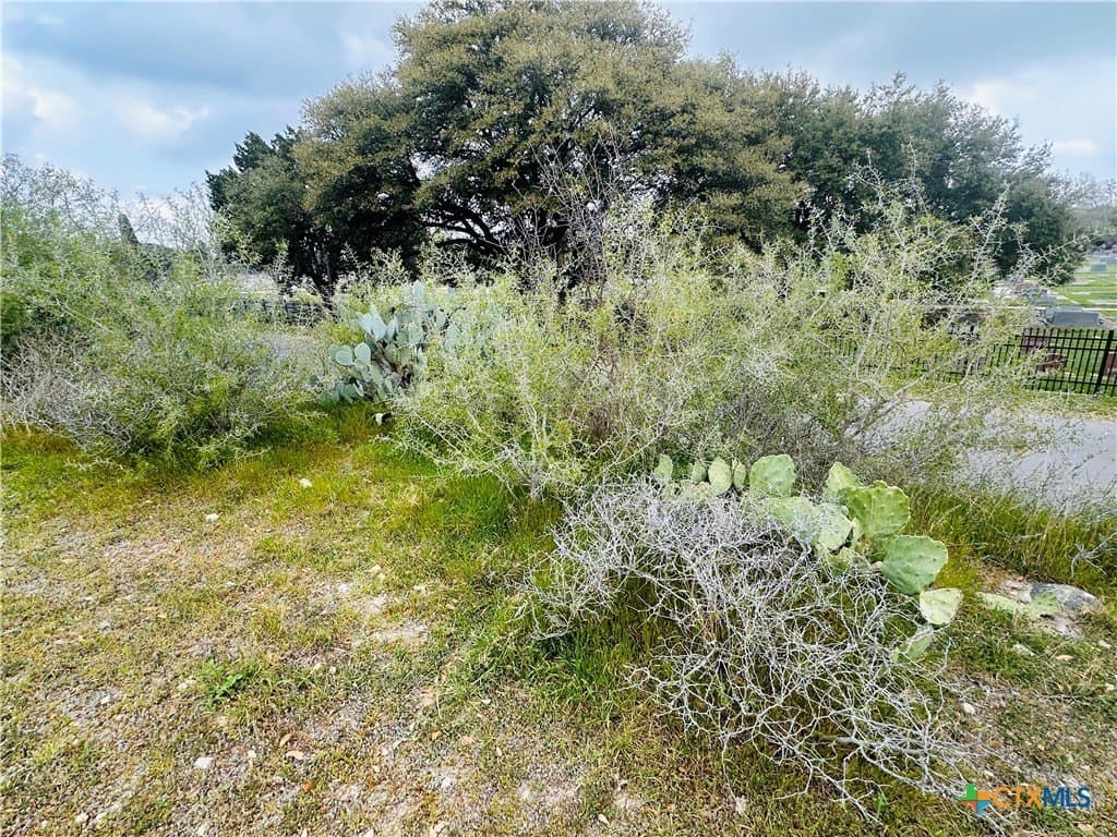 0.24 acres in Comal County