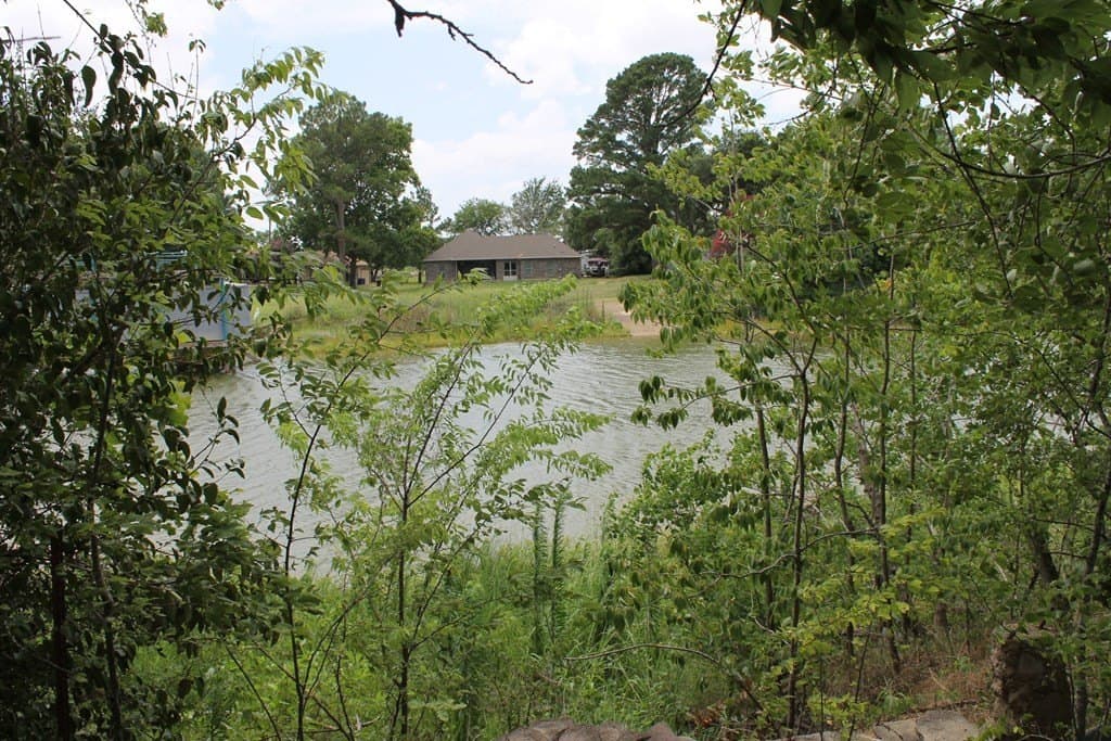 0.58 acres in Henderson County - photo 8