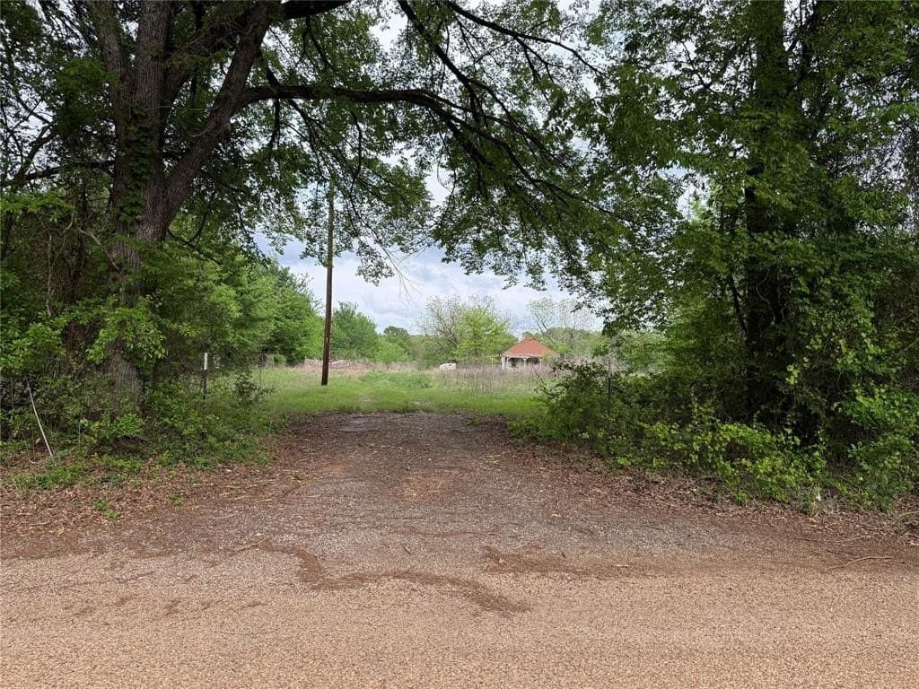 12.06 acres in Henderson County gallery image 4