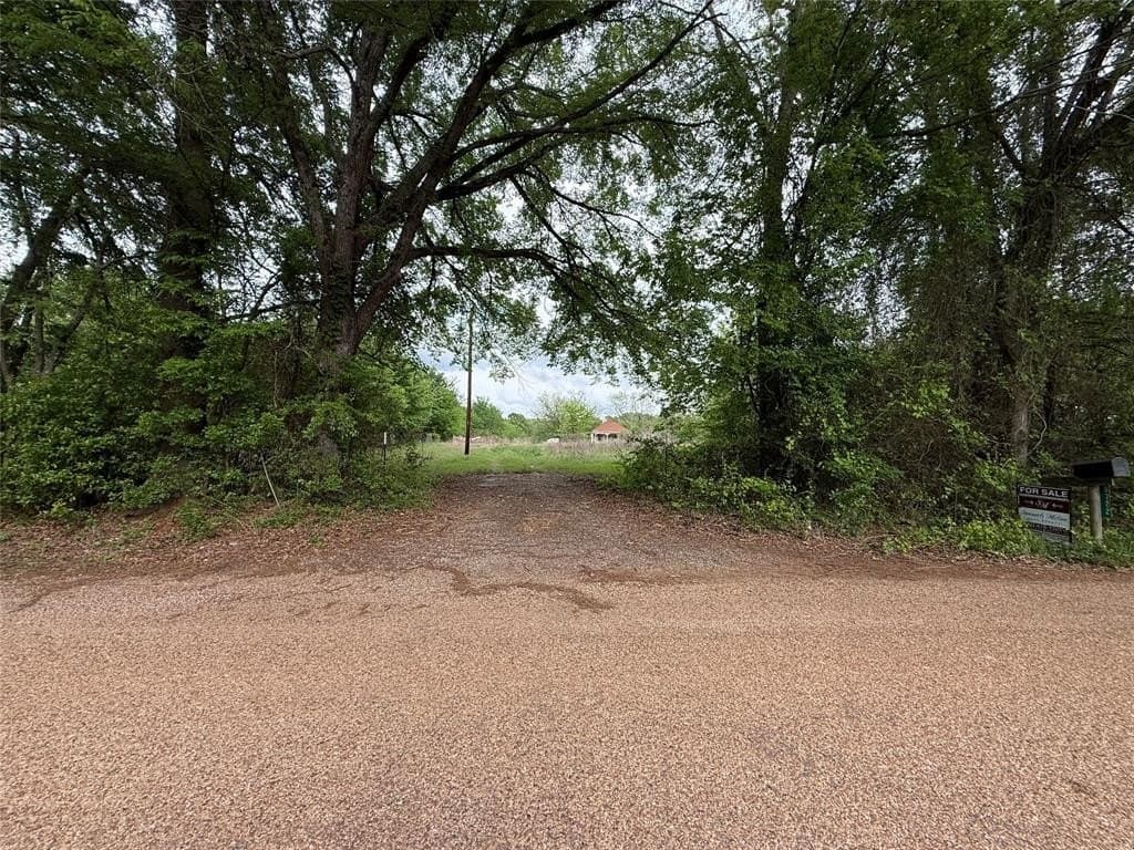 12.06 acres in Henderson County gallery image 3