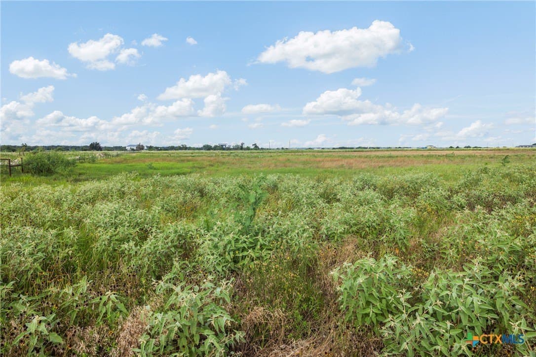 10.69 acres in Bastrop County - photo 11