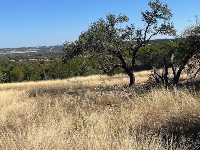 10.02 acres in Gillespie County gallery image 3