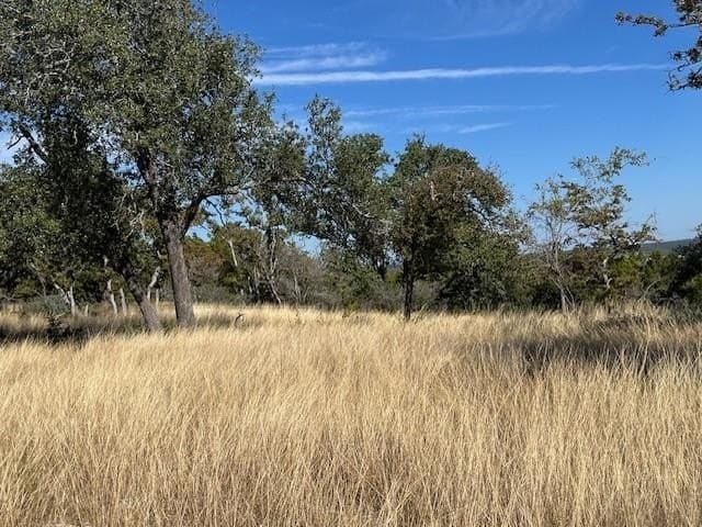 10.02 acres in Gillespie County gallery image 2