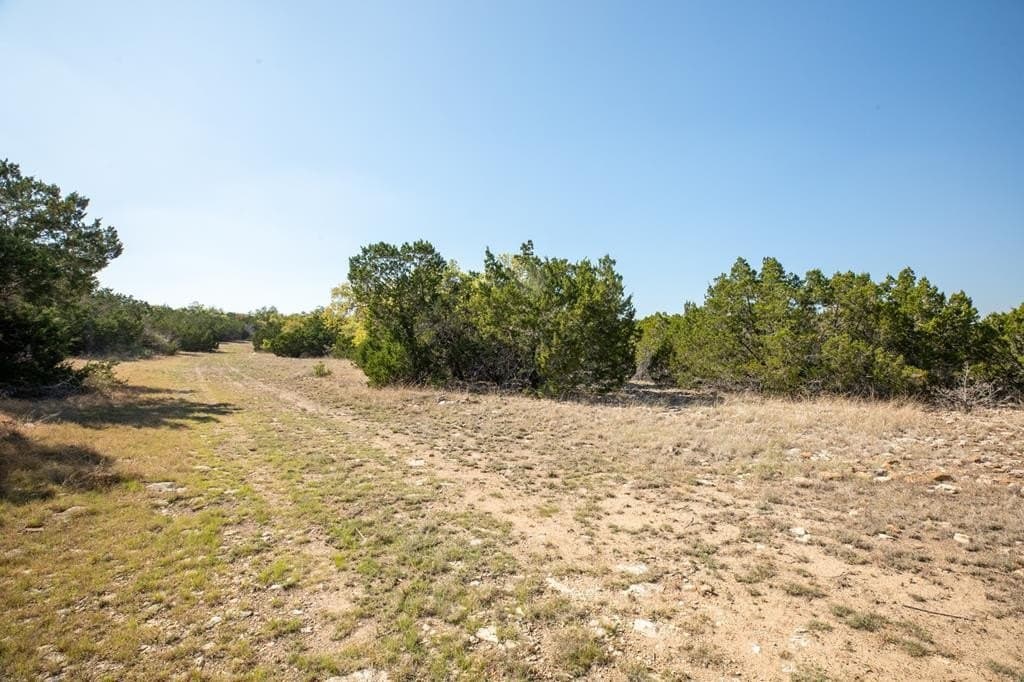 10.02 acres in Gillespie County - photo 7