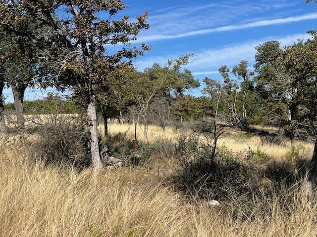 10.02 acres in Gillespie County featured view