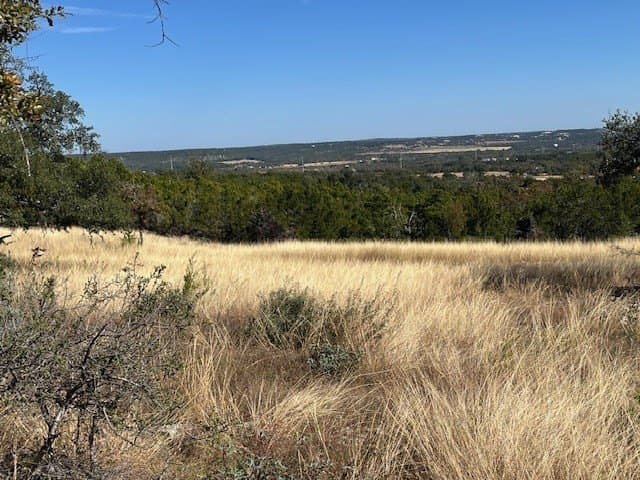 10.02 acres in Gillespie County gallery image 4