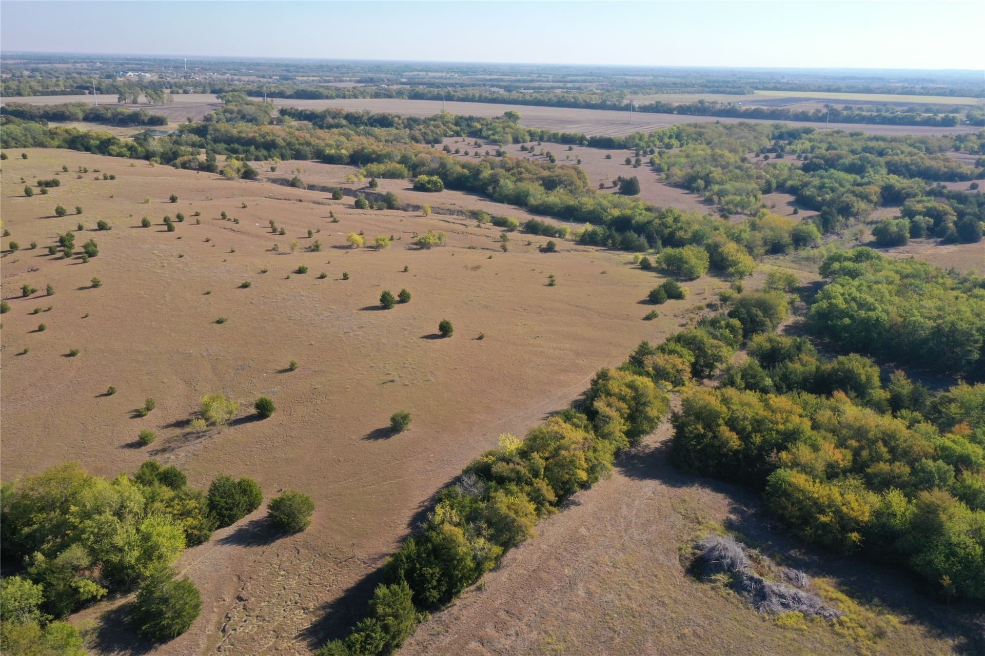 88.89 acres in Collin County - photo 23