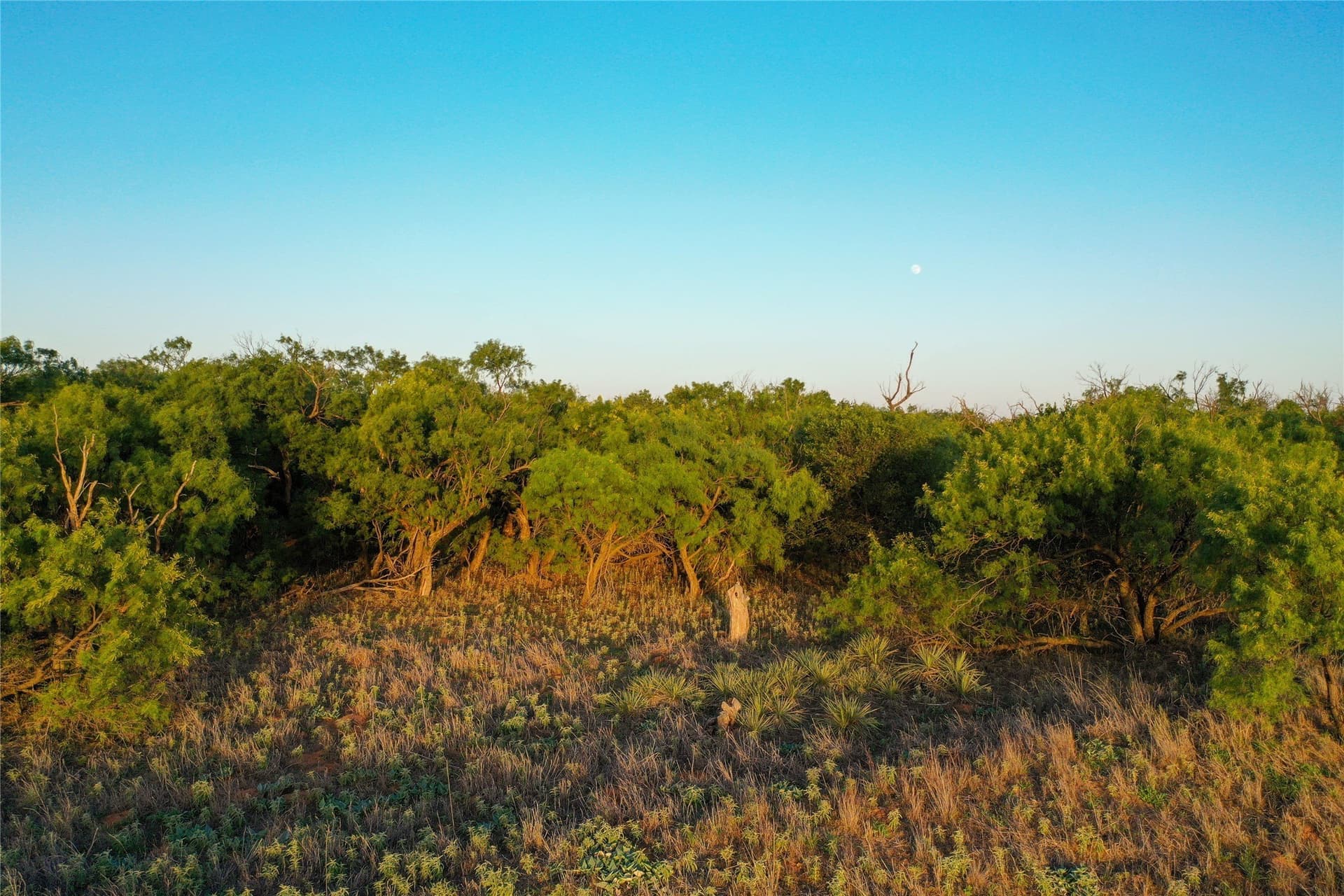 80 acres in Haskell County - photo 5