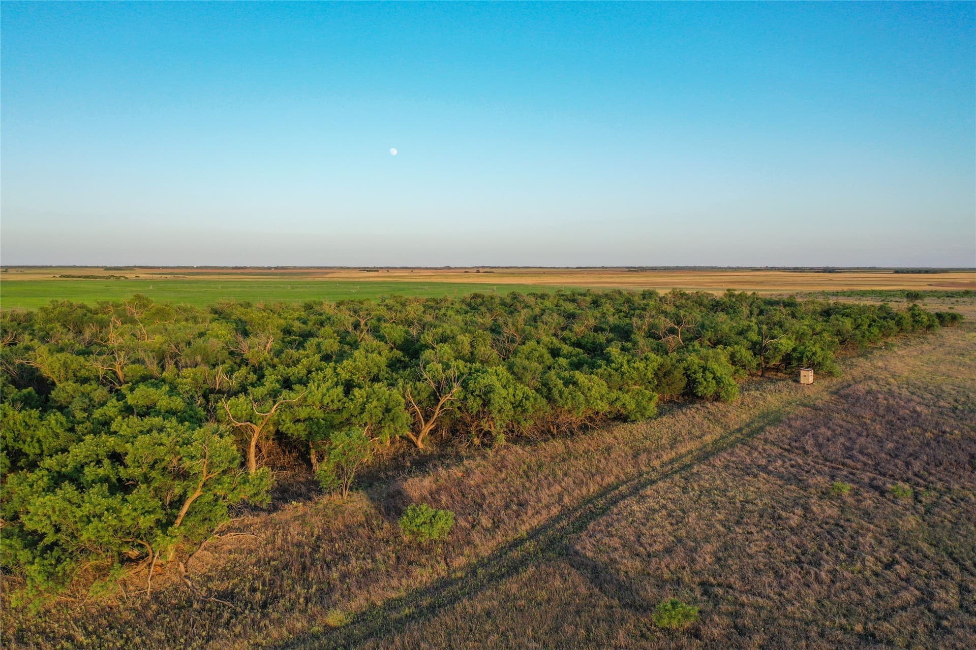 80 acres in Haskell County - photo 7