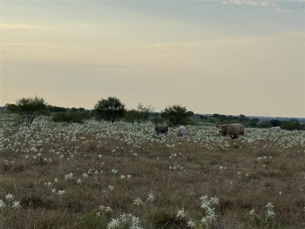 17.1 acres in Wise County gallery image 2