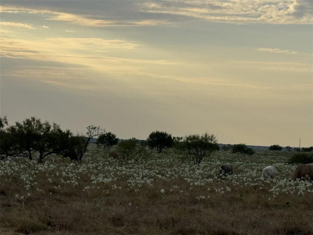 17.1 acres in Wise County gallery image 3