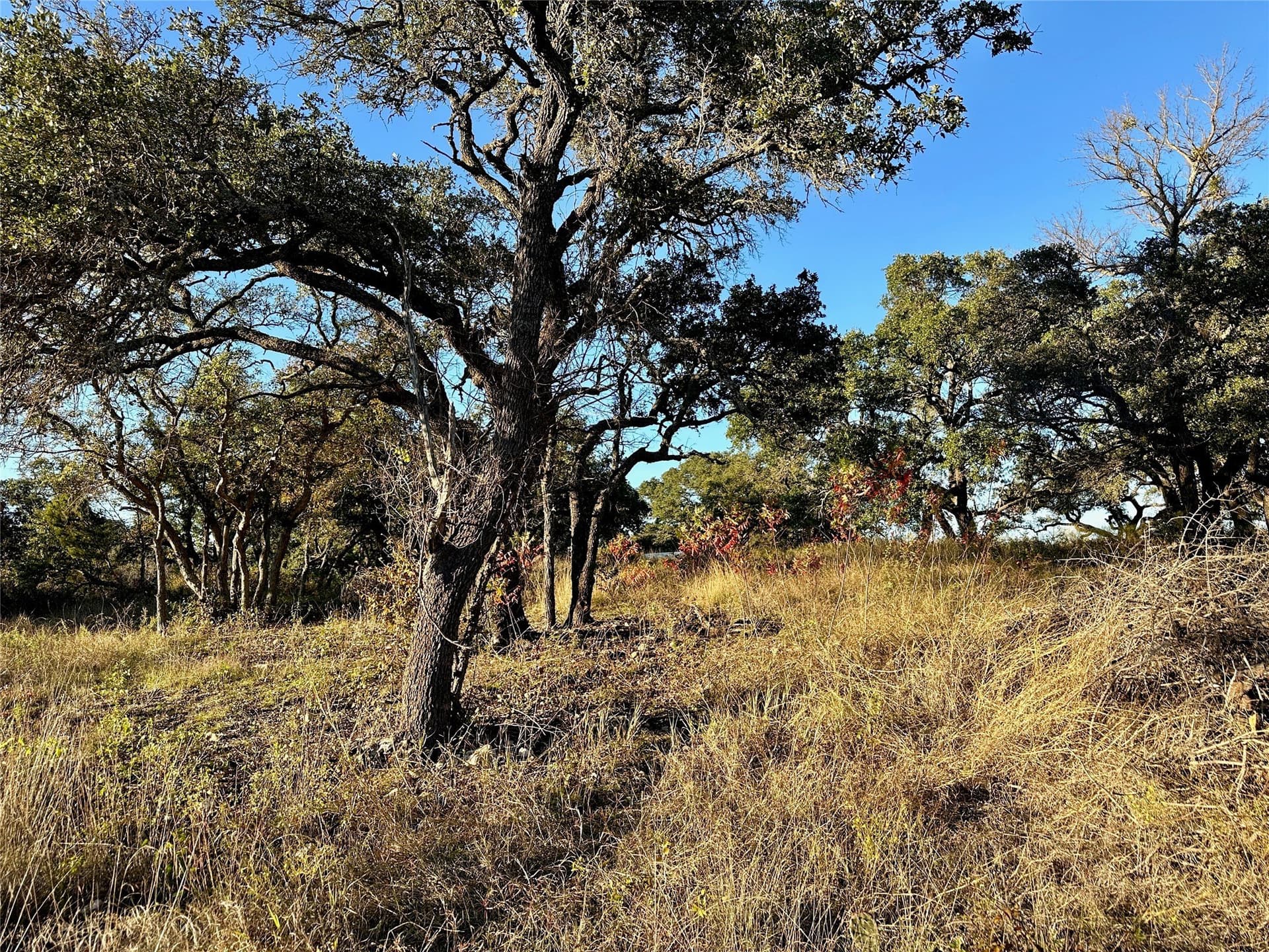 10.04 acres in Brown County - photo 34