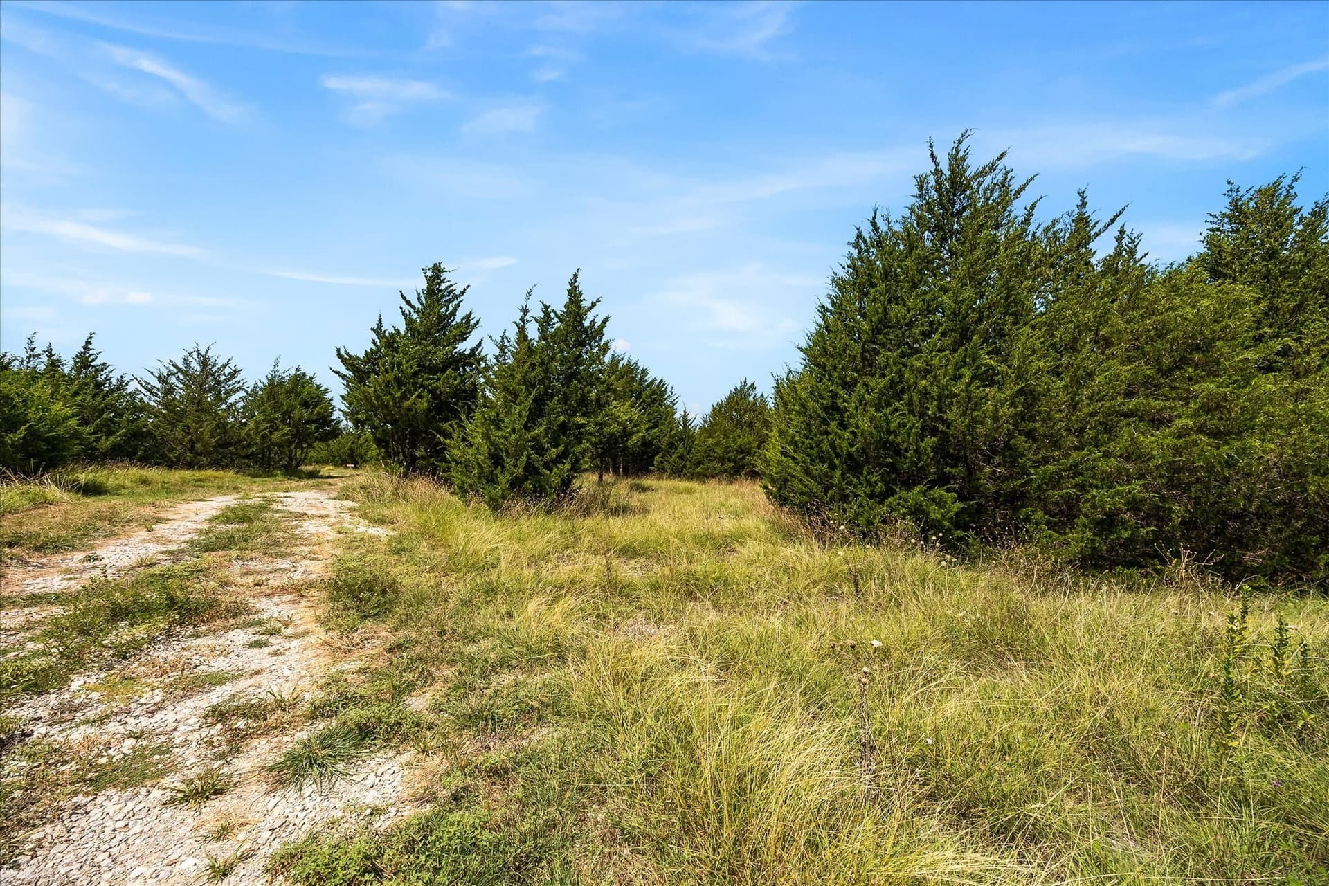 12.01 acres in Collin County - photo 21