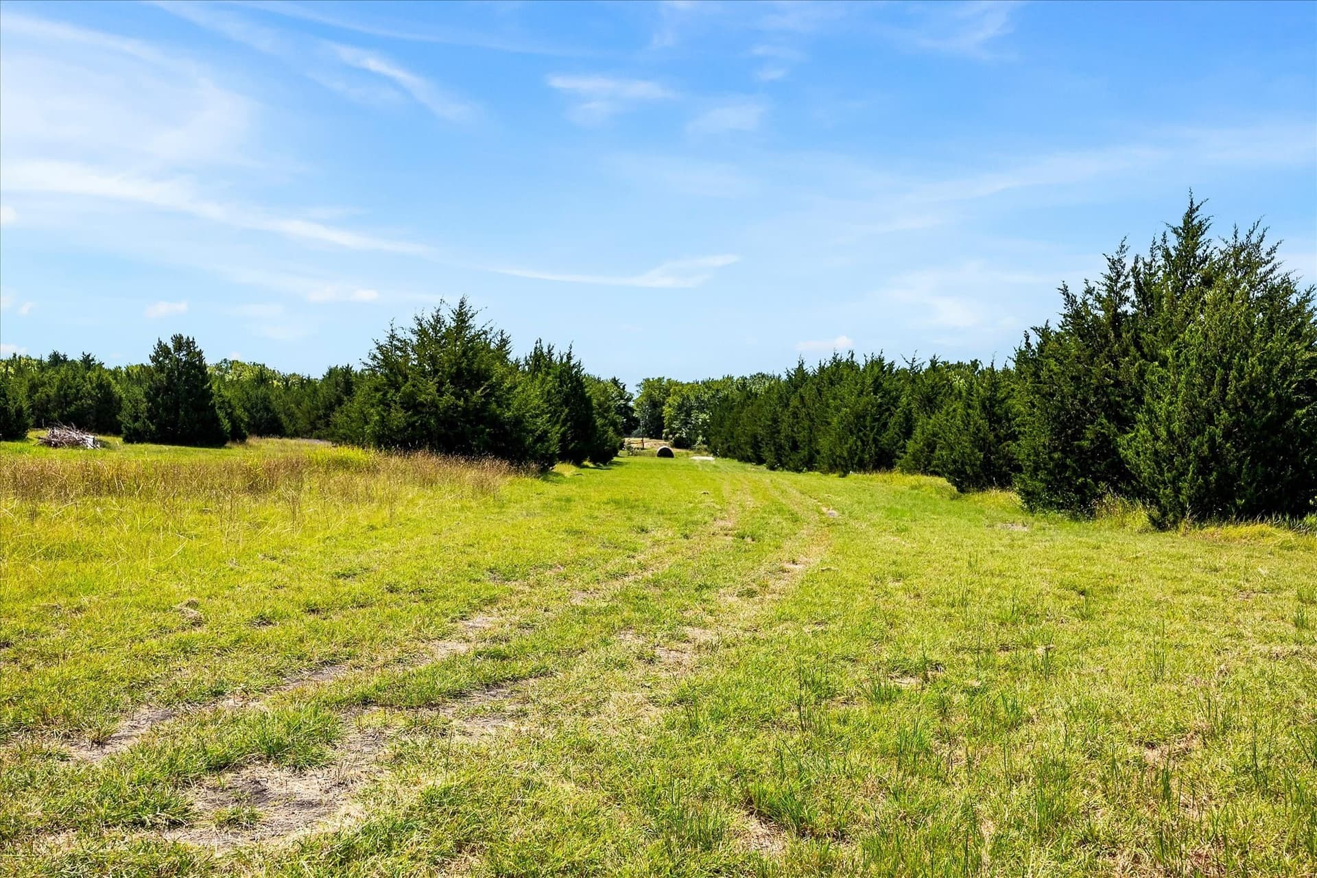 12.01 acres in Collin County - photo 24