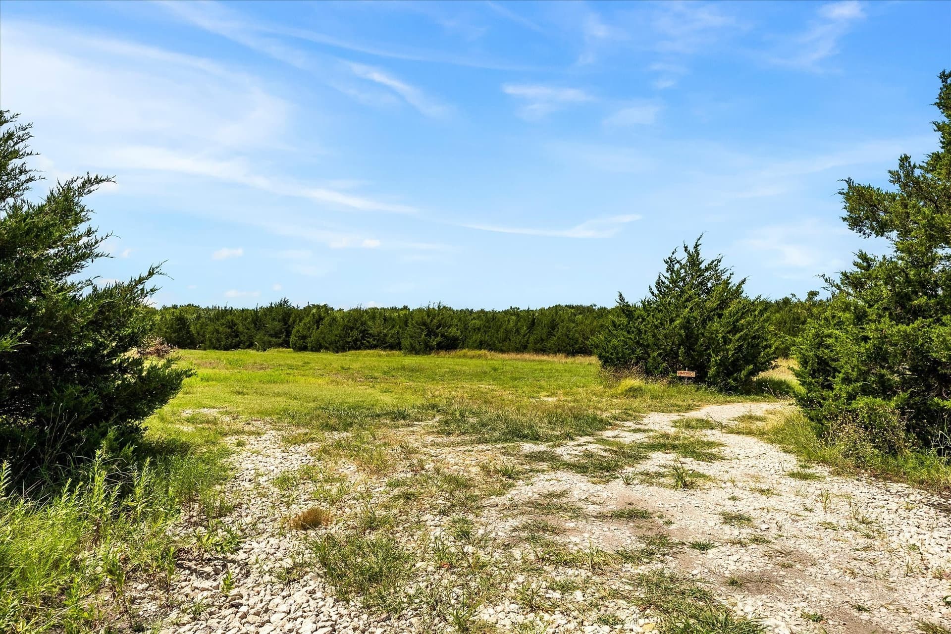 12.01 acres in Collin County - photo 22
