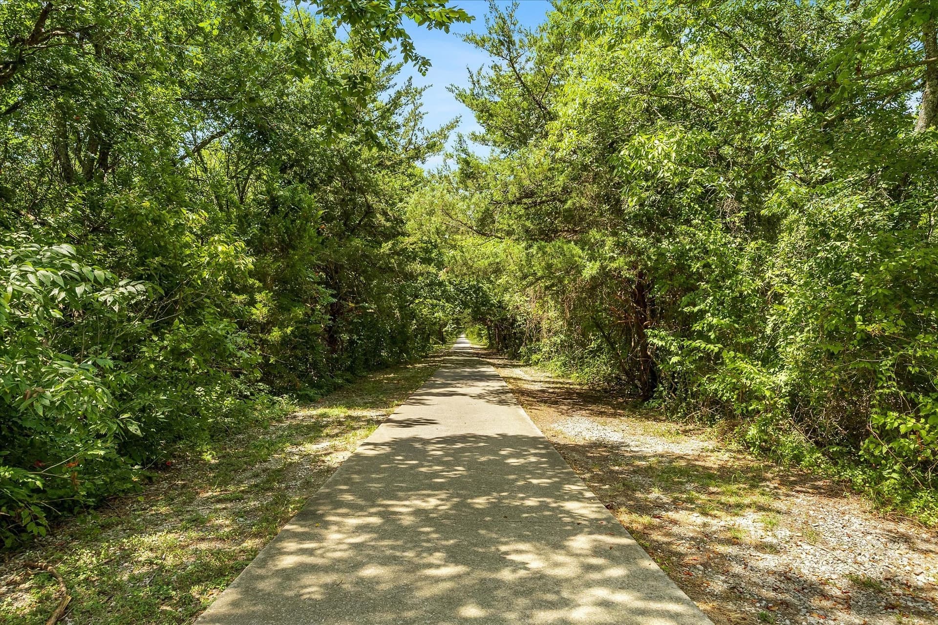 12.01 acres in Collin County gallery image 3