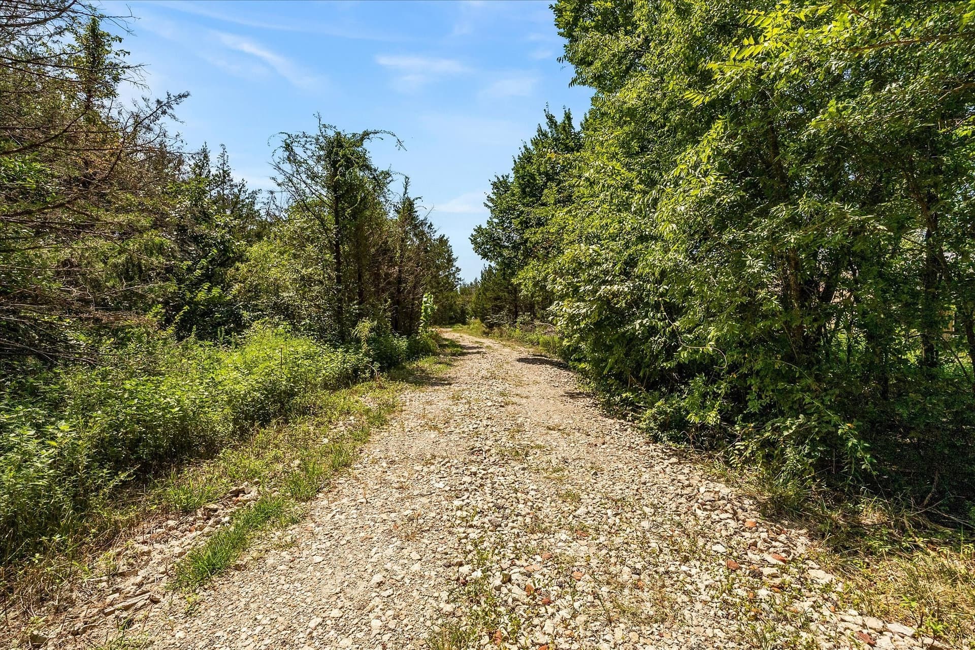 12.01 acres in Collin County - photo 20