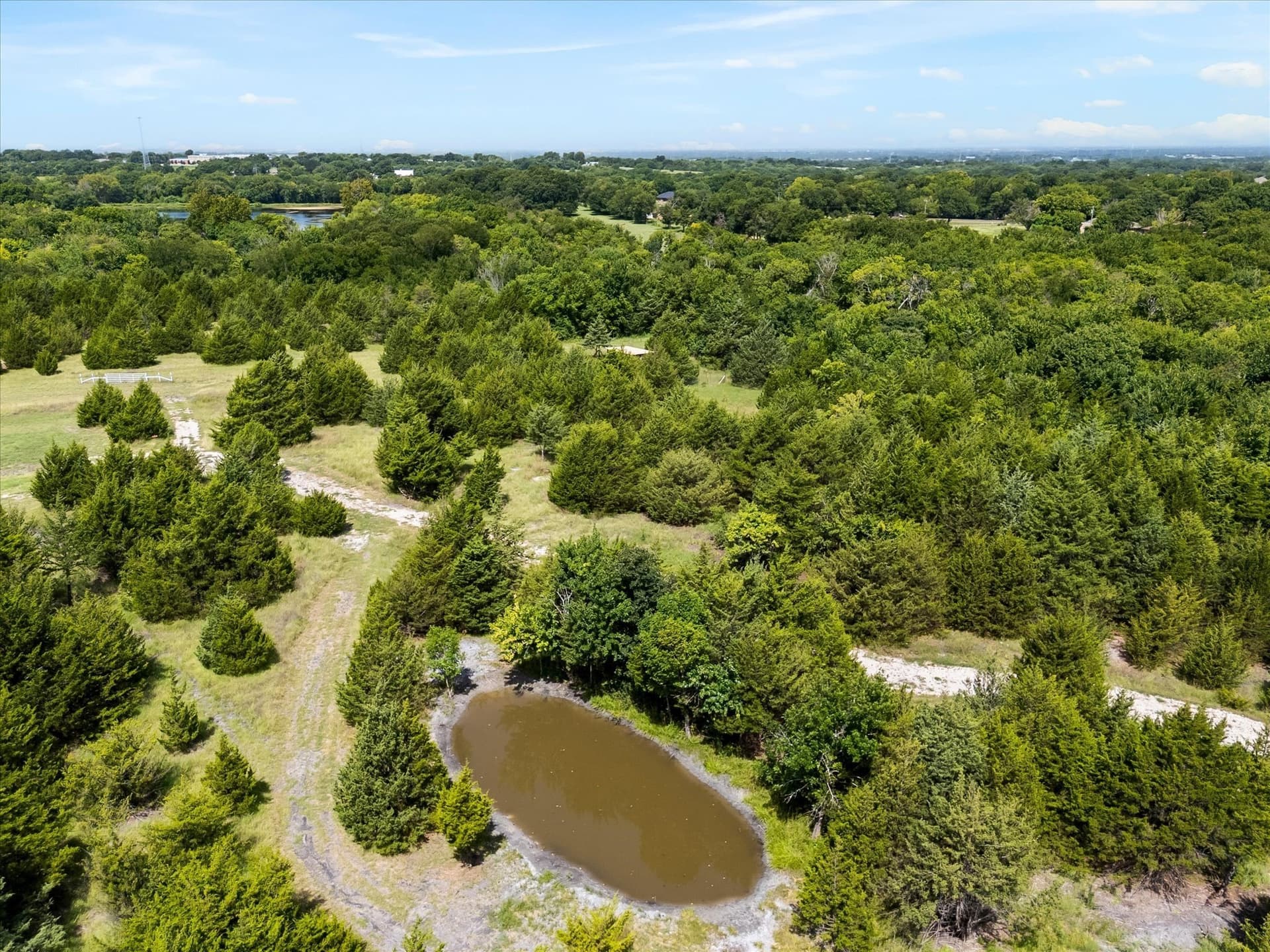12.01 acres in Collin County - photo 11