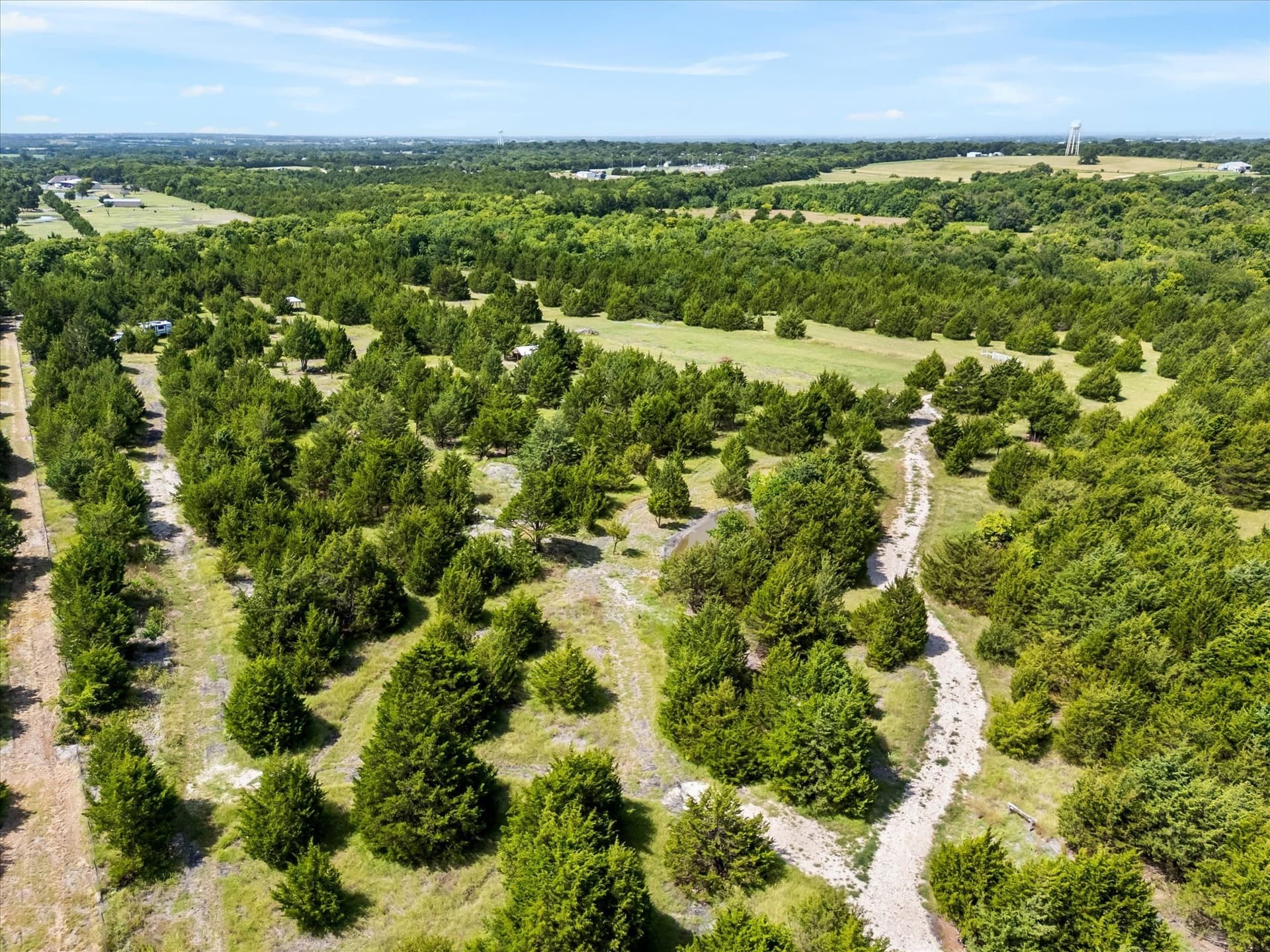 12.01 acres in Collin County - photo 10