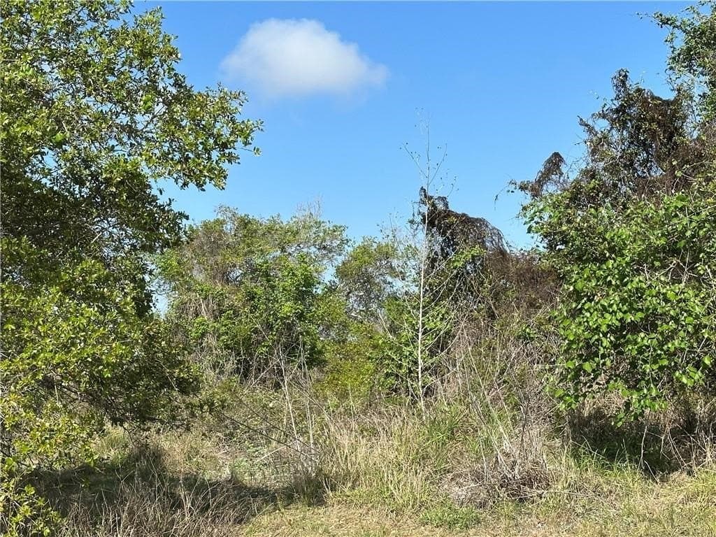 0.11 acres in San Patricio County - photo 8