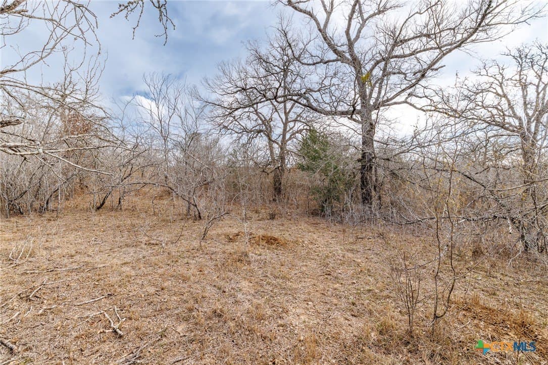 20 acres in Gonzales County gallery image 2