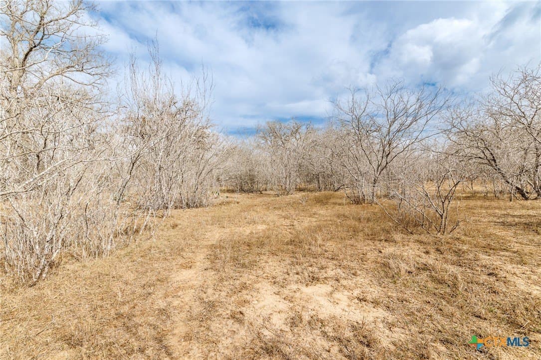 20 acres in Gonzales County gallery image 3