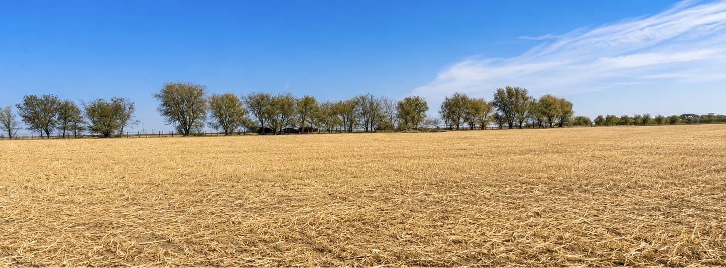 10.01 acres in Hill County gallery image 2