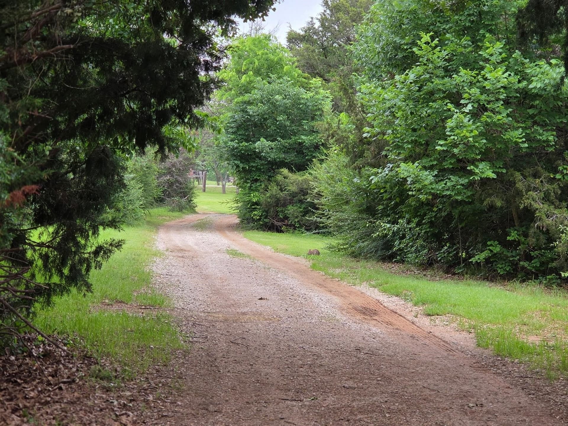 8.29 acres in Denton County gallery image 3