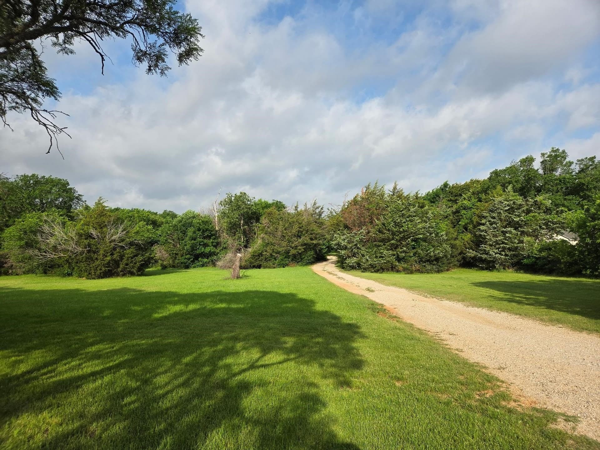 8.29 acres in Denton County gallery image 2