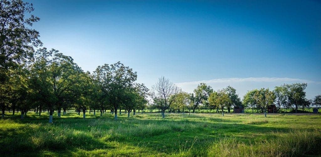 12.88 acres in Maverick County - photo 71