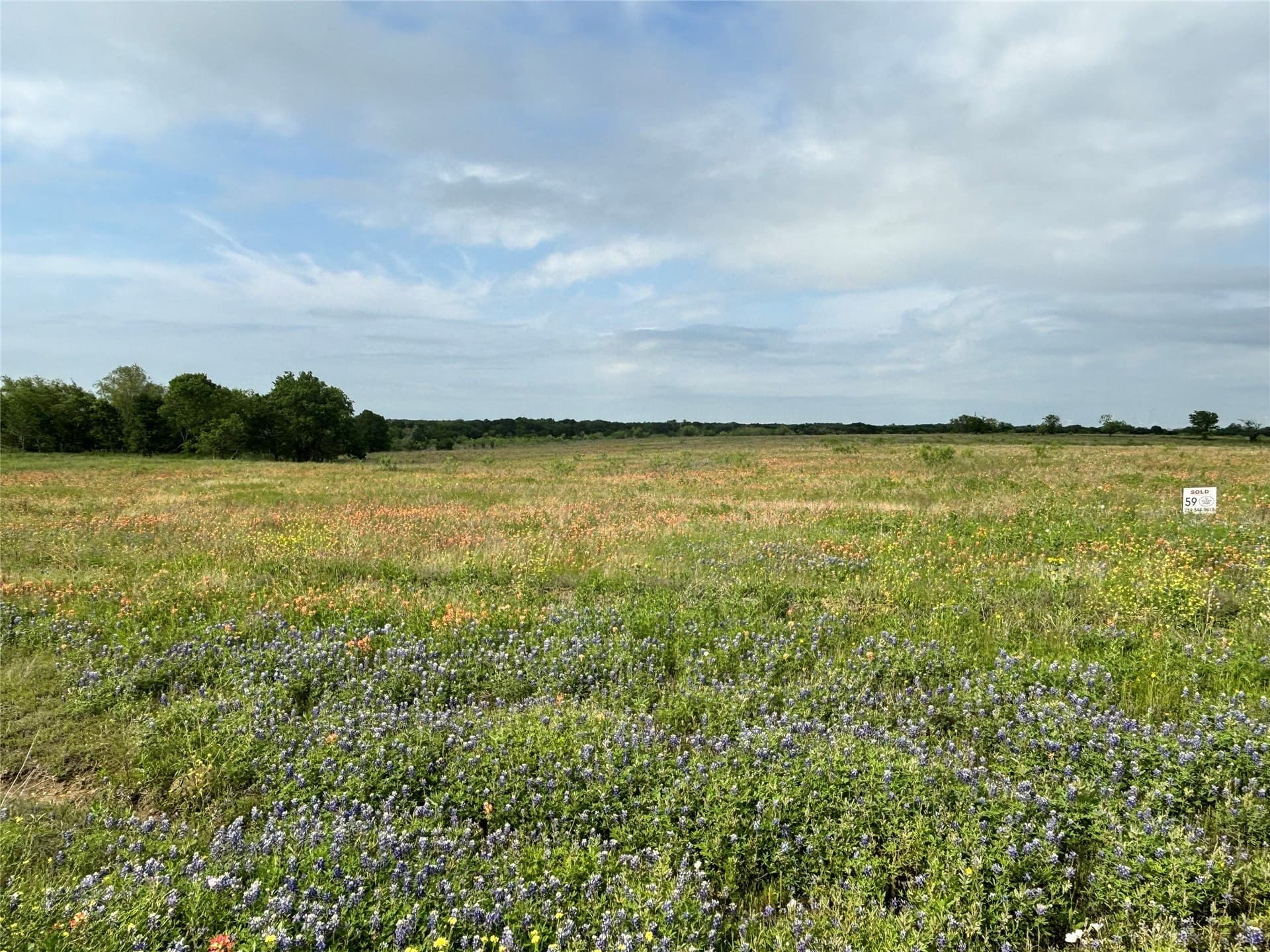 10.01 acres in Hill County gallery image 3