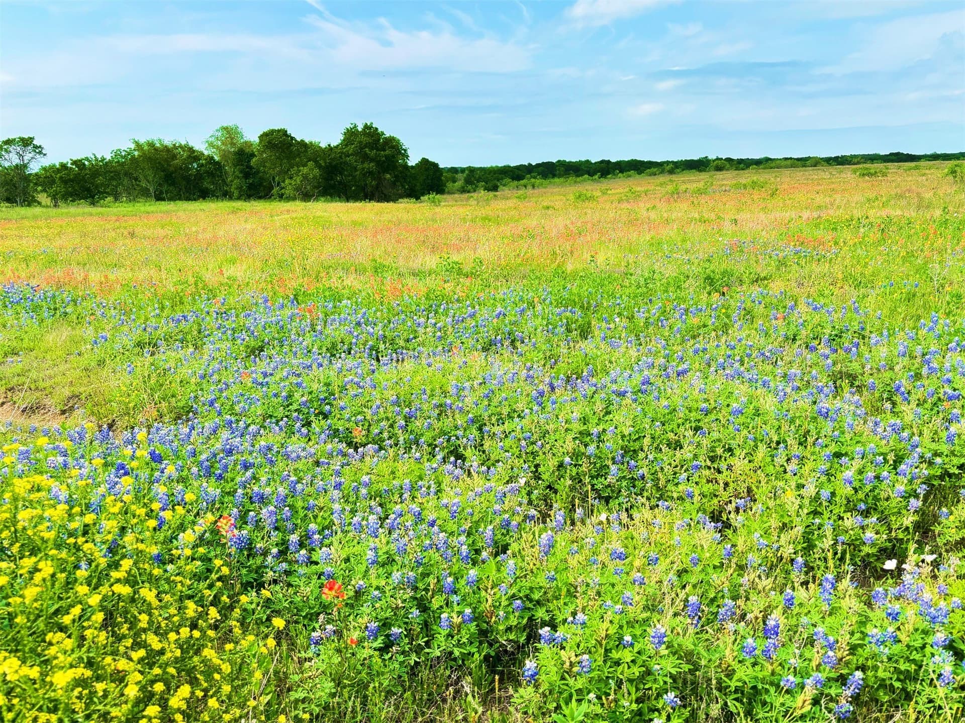 10.01 acres in Hill County