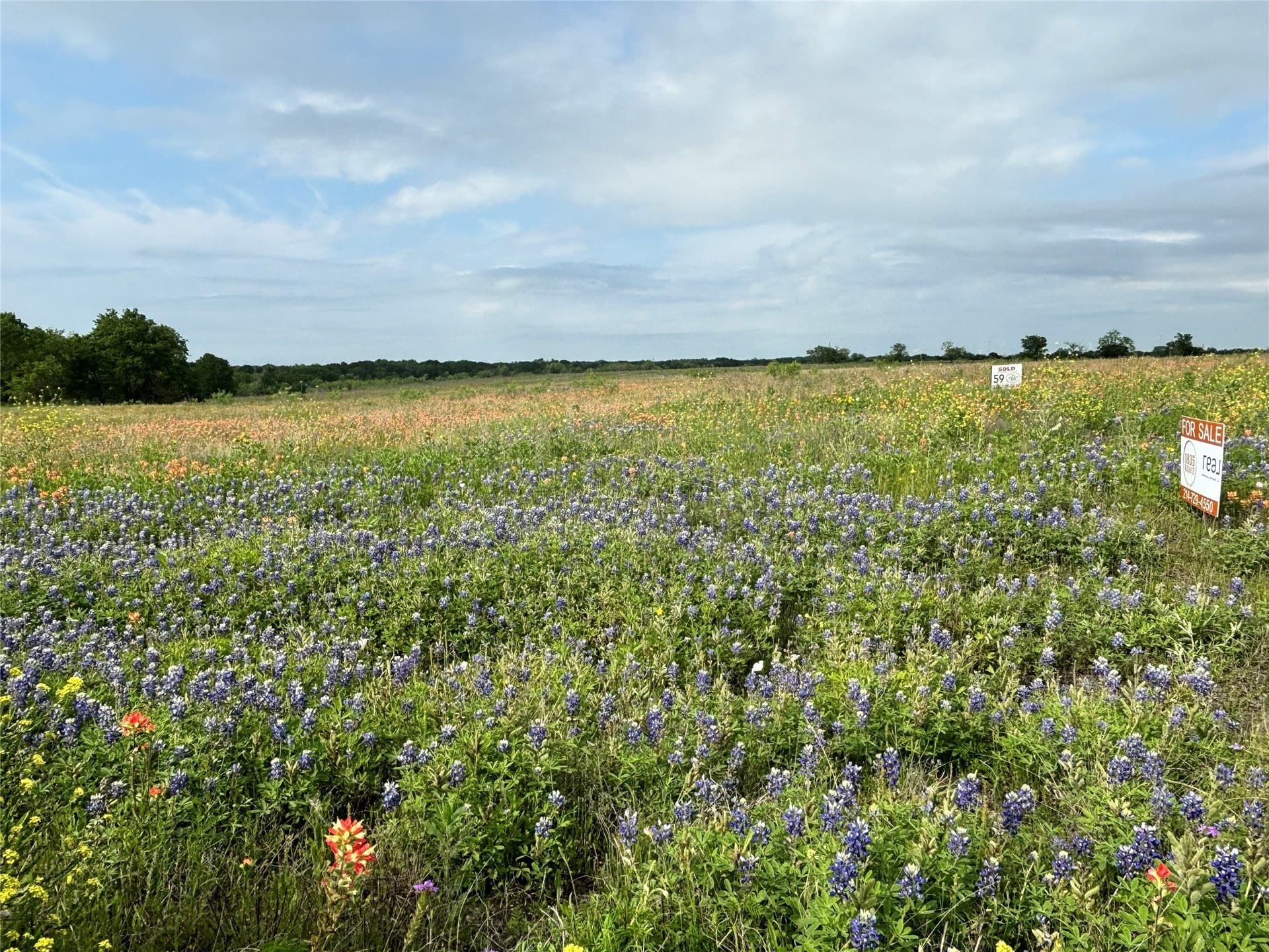 10.01 acres in Hill County gallery image 4
