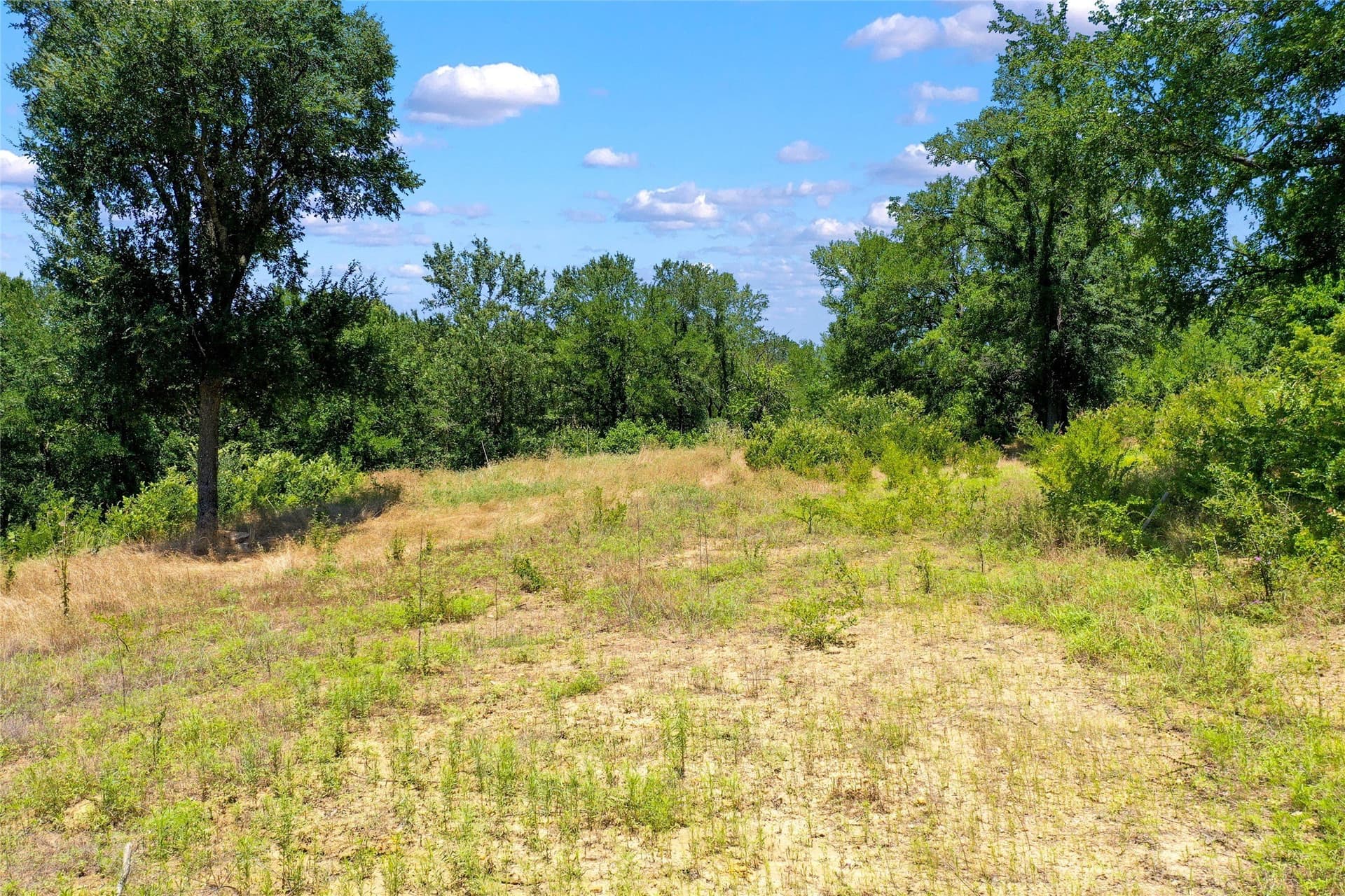 3.11 acres in Cooke County - photo 10