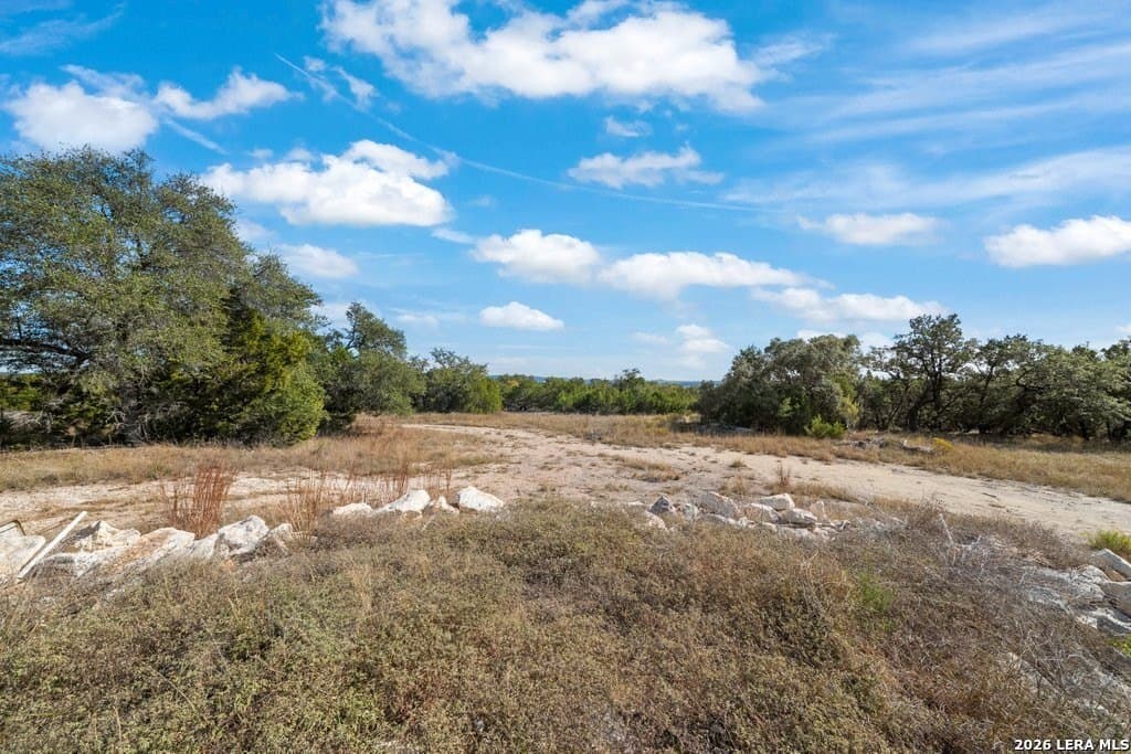 30.1 acres in Comal County - photo 31