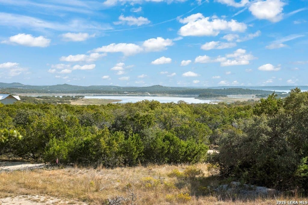 30.1 acres in Comal County - photo 30