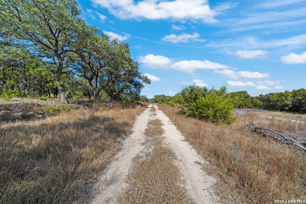 30.1 acres in Comal County - photo 32