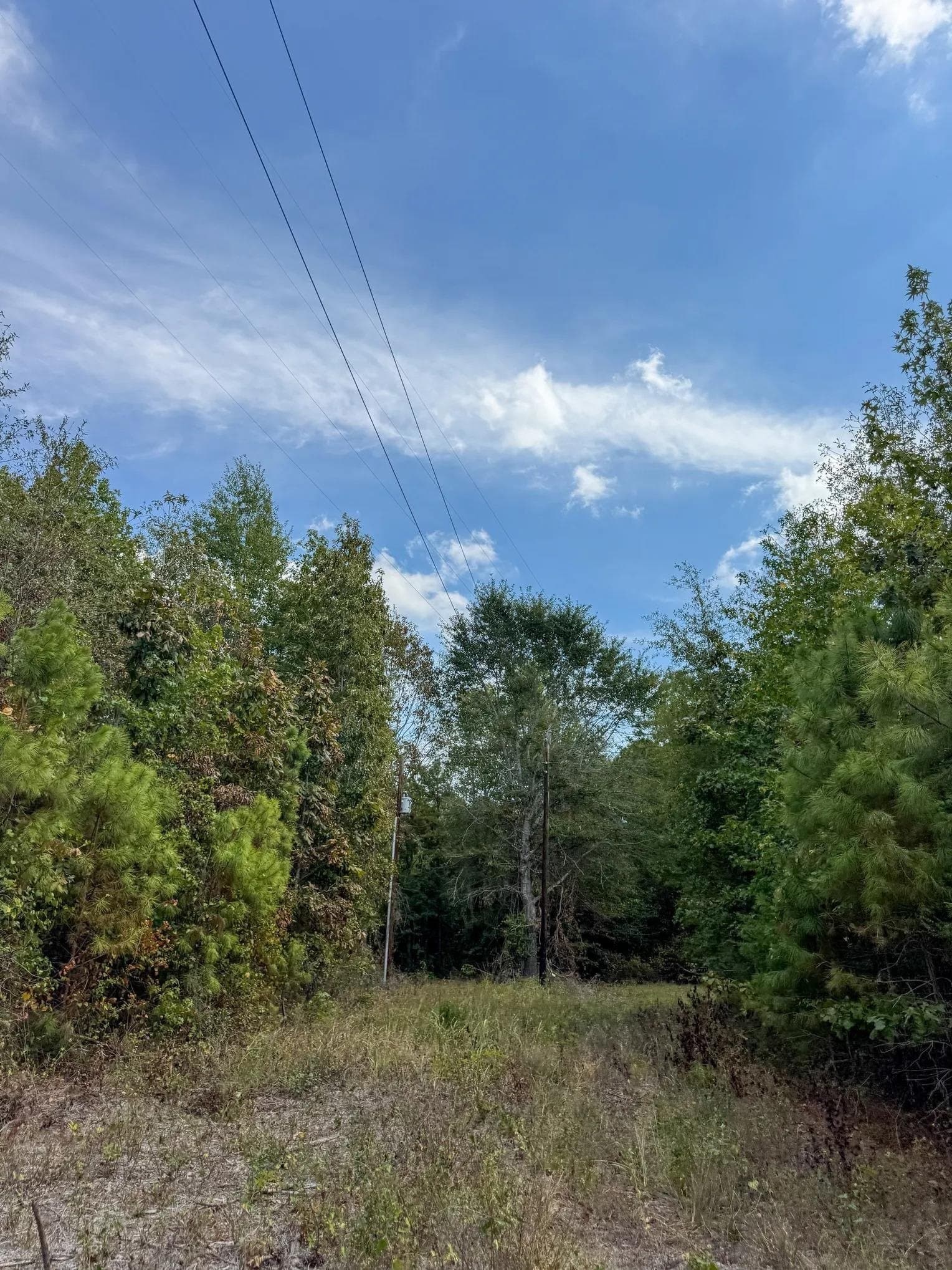 10.83 acres in Marion County - photo 20