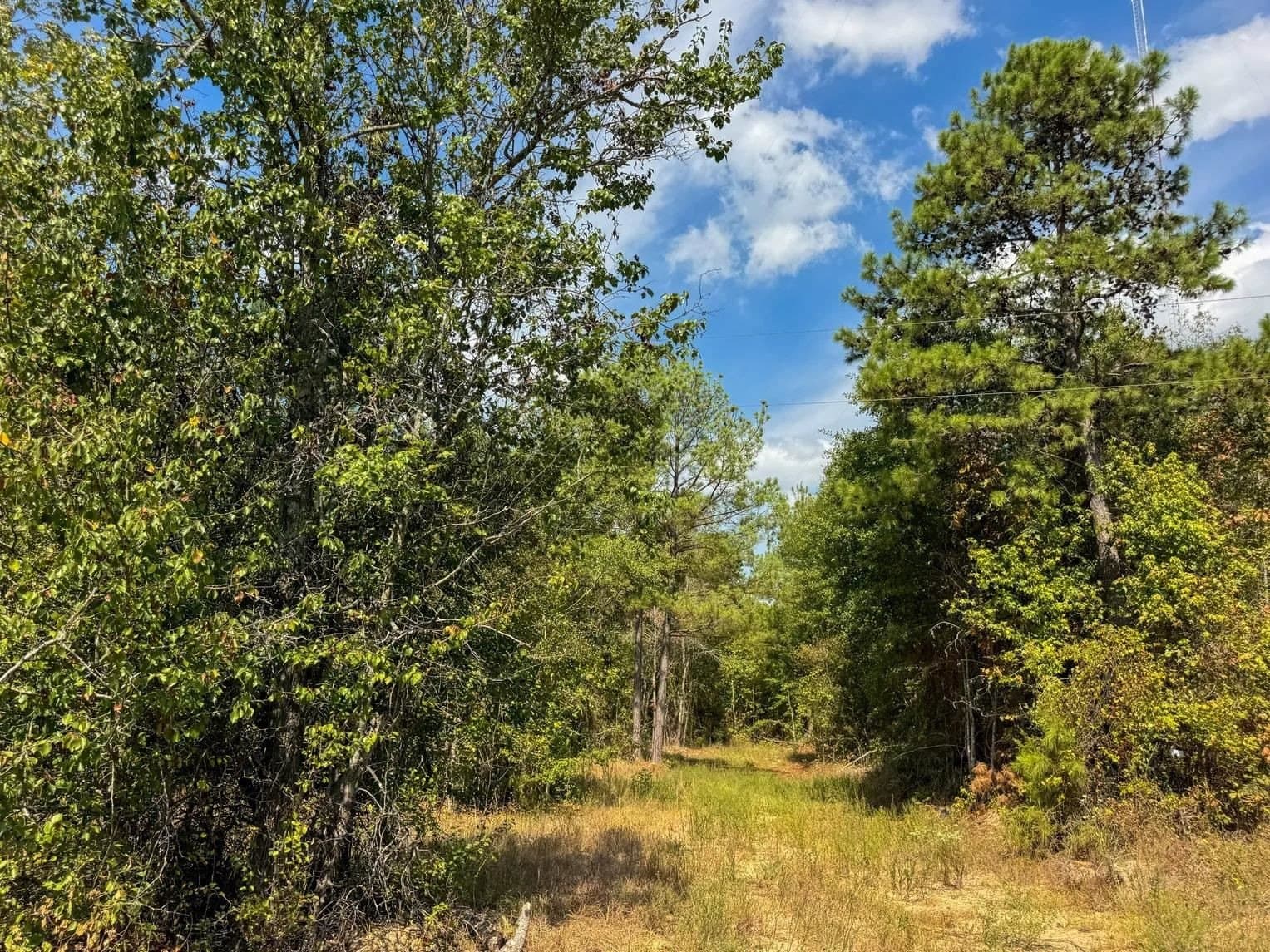 10.83 acres in Marion County - photo 12