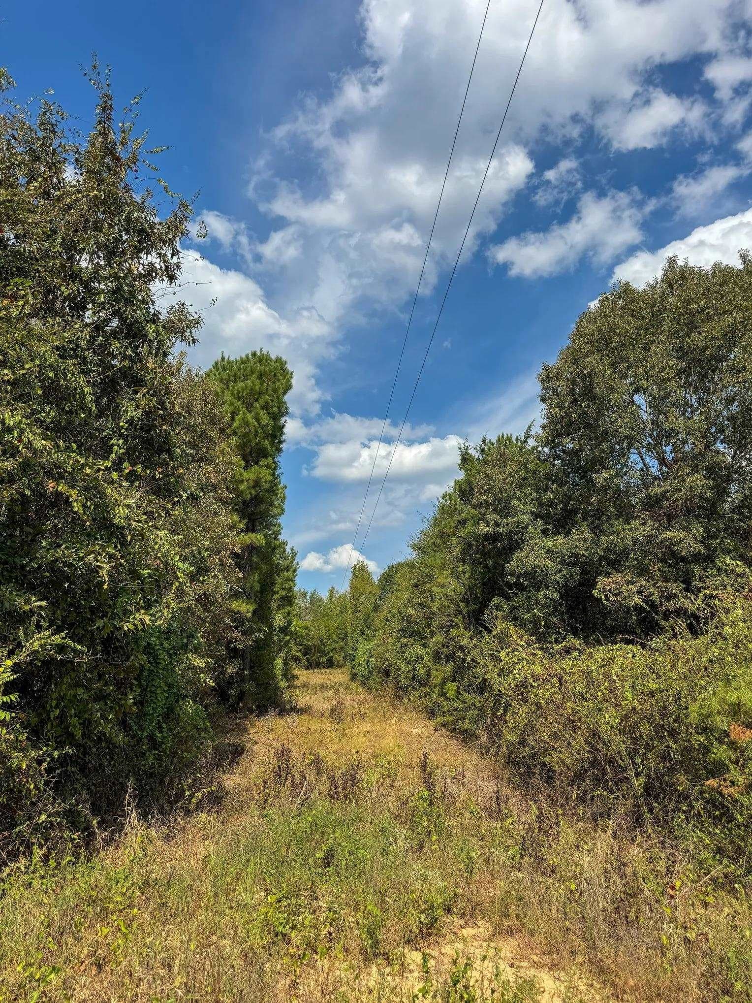10.83 acres in Marion County - photo 8