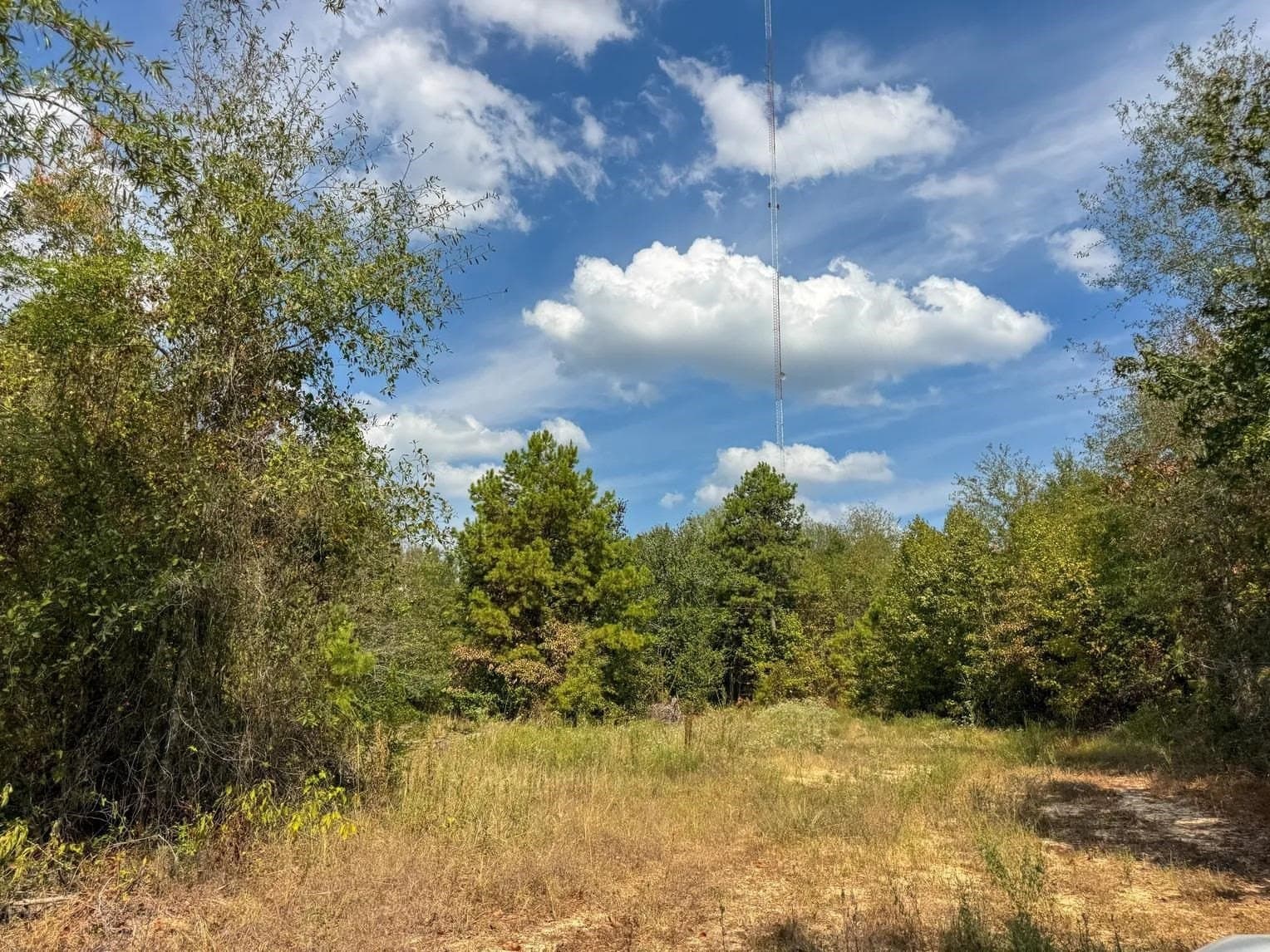 10.83 acres in Marion County - photo 11
