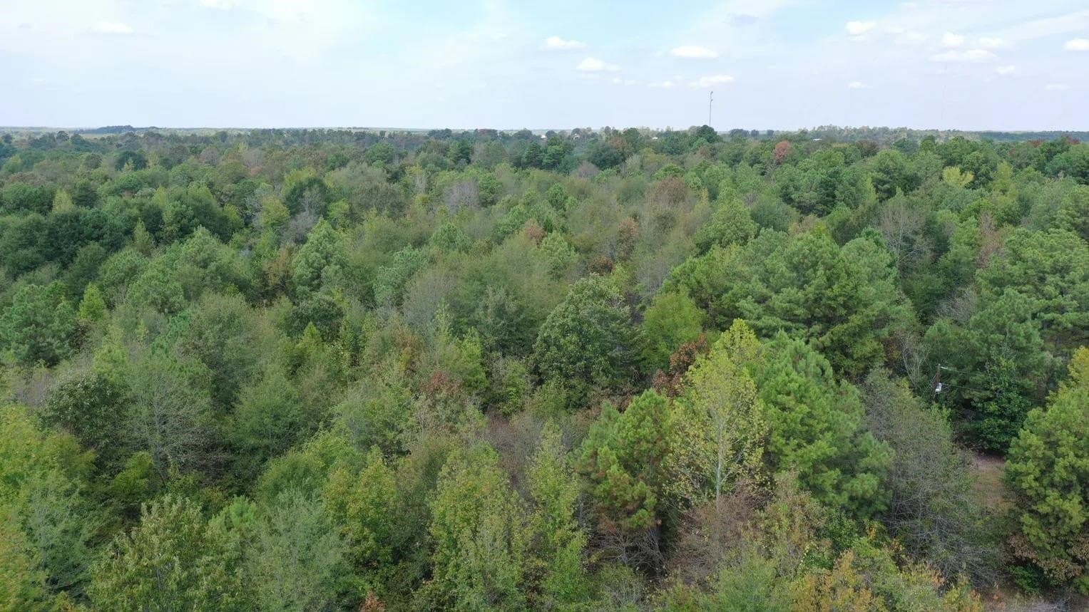 10.83 acres in Marion County - photo 3