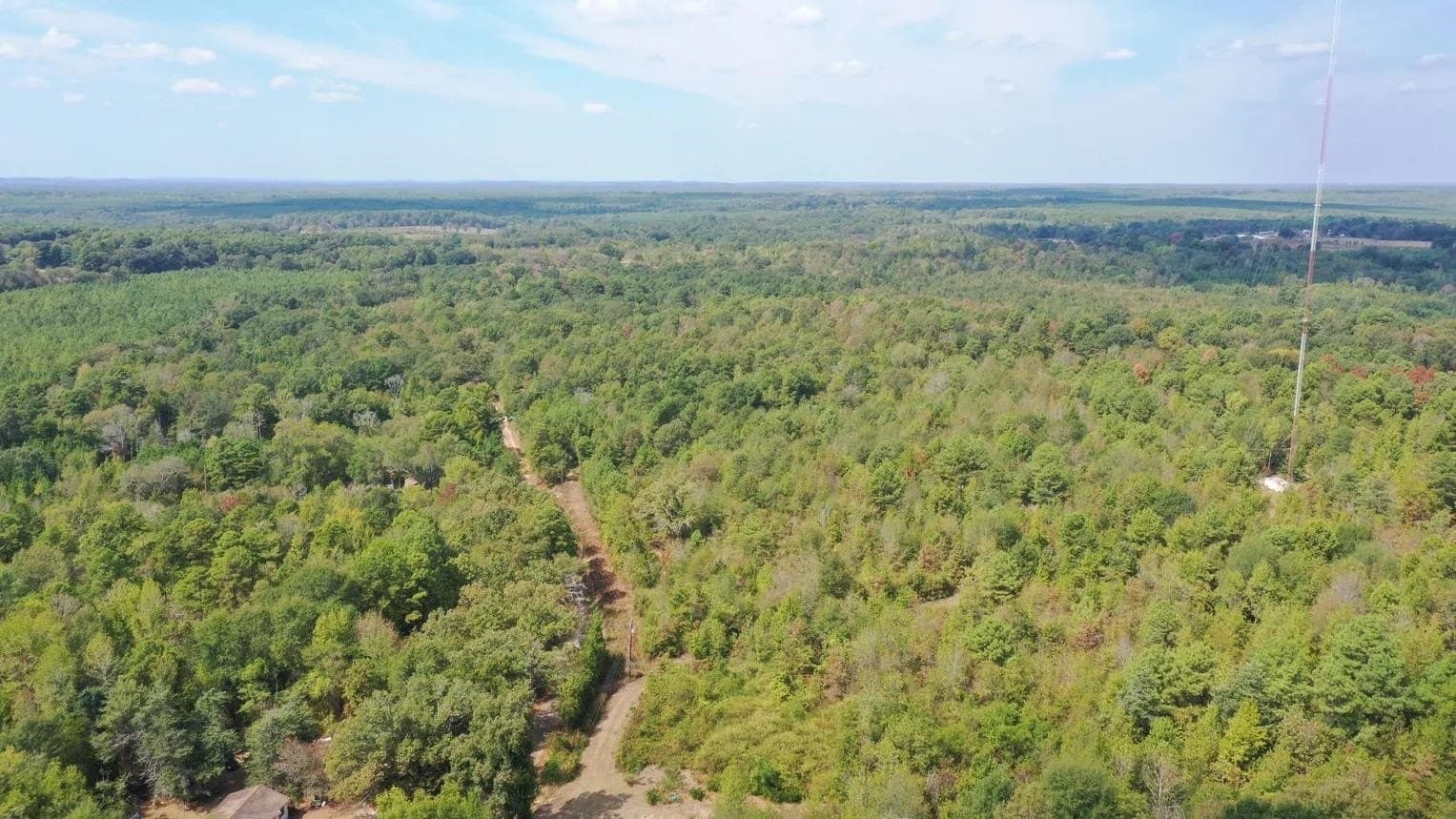 10.83 acres in Marion County - photo 5