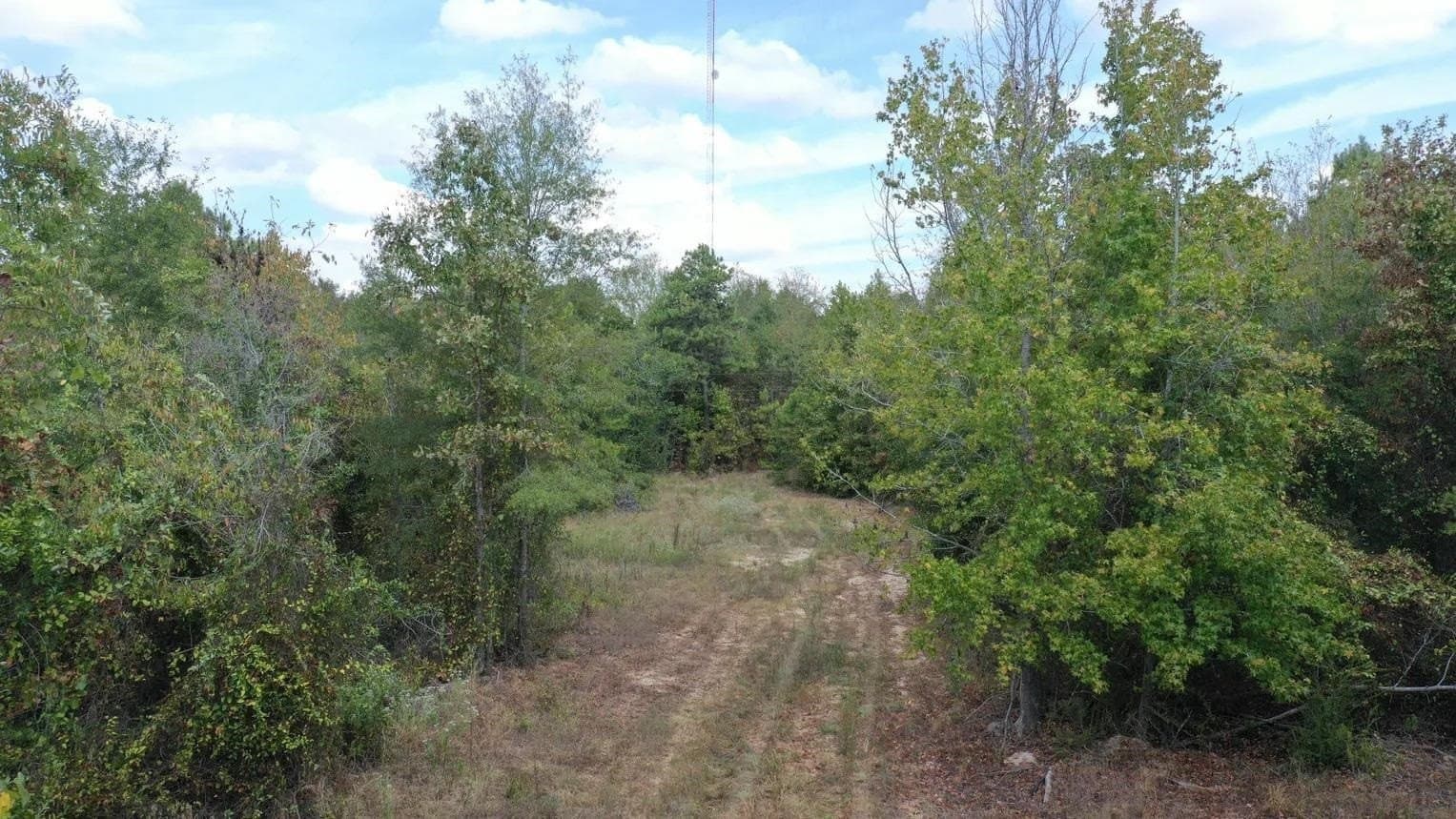 10.83 acres in Marion County - photo 2