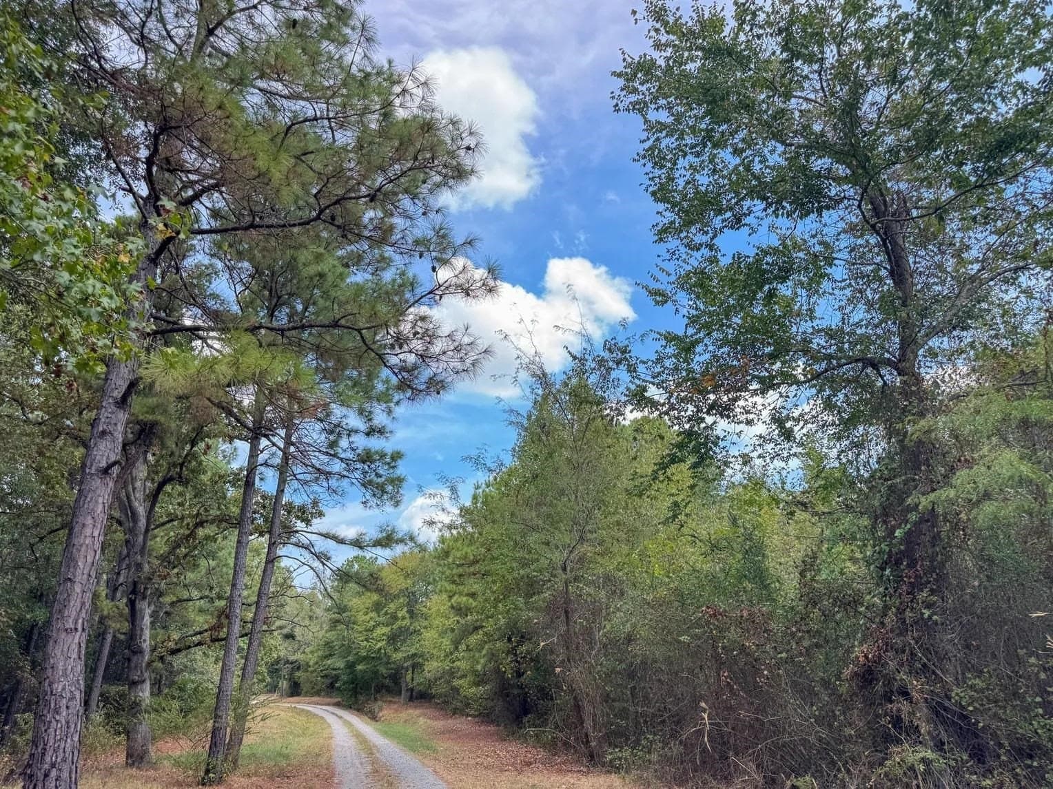 10.83 acres in Marion County - photo 22
