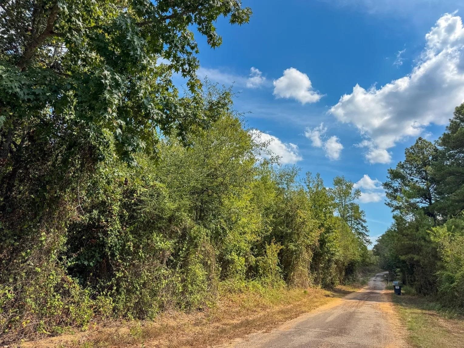 10.83 acres in Marion County - photo 6