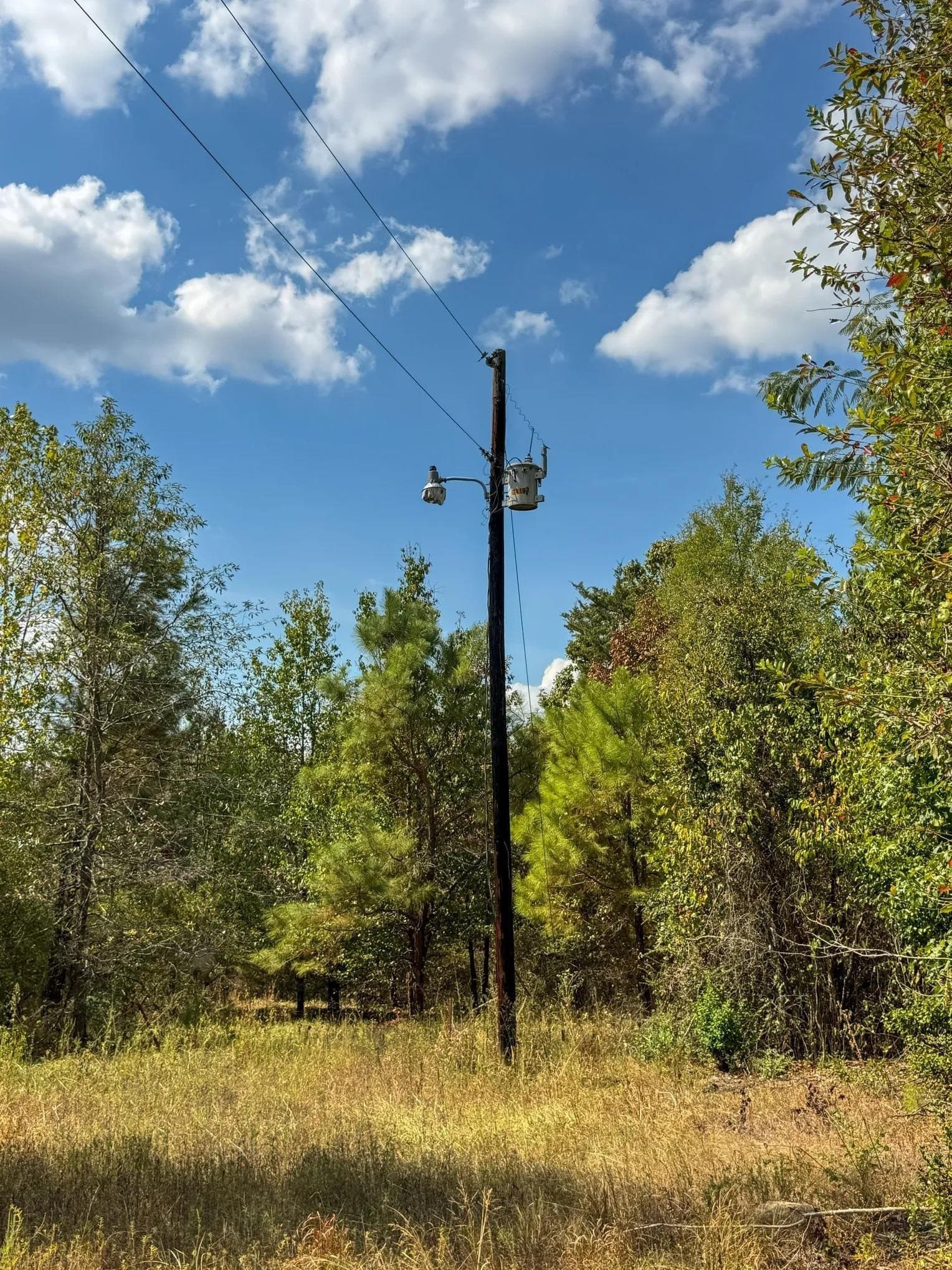 10.83 acres in Marion County - photo 13